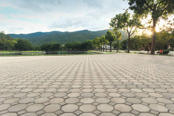 Best Driveway Pavers Installation  in Durant, MS